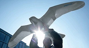 The Festo SmartBird